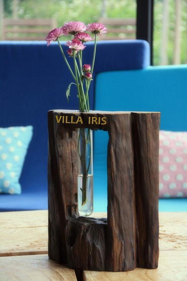 Villa Iris Baisha Ngoại thất bức ảnh